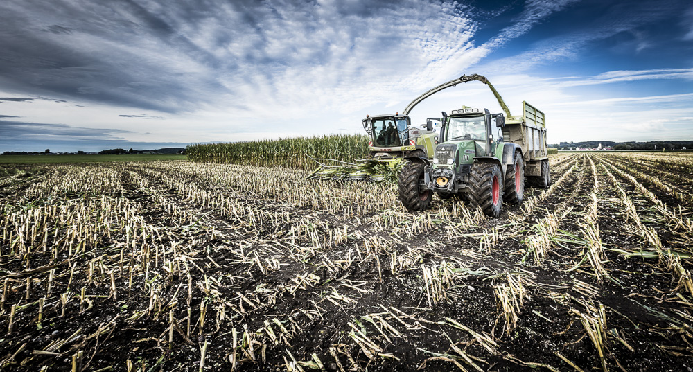 4. Platz Daniel Kreher
